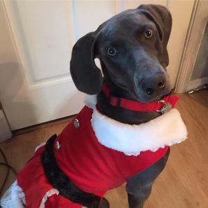 Meet your Posher, Jana